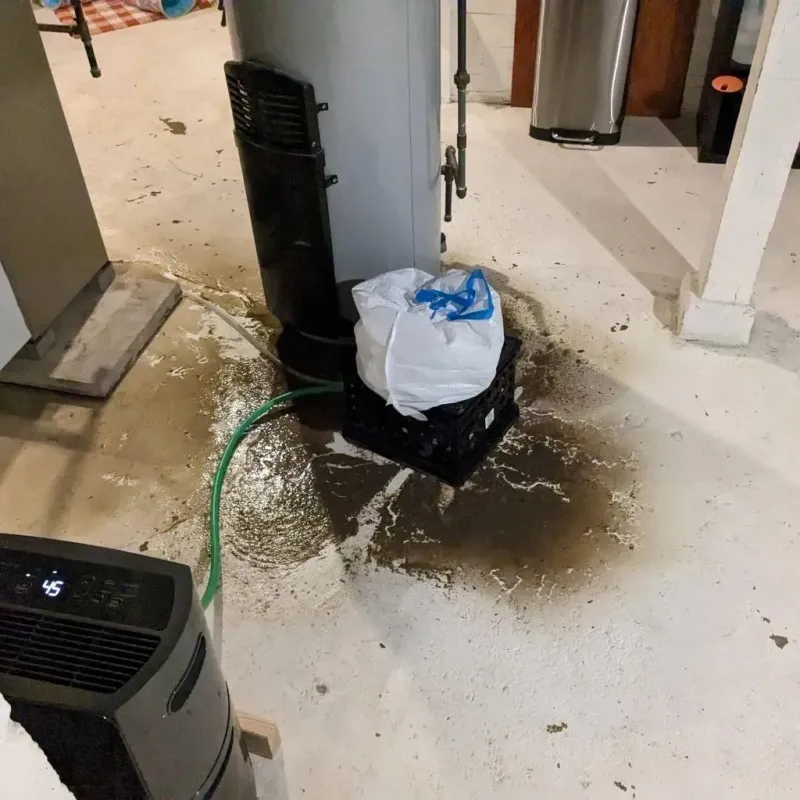 Sewage Backup Cleanup Service in Harrisburg, NE